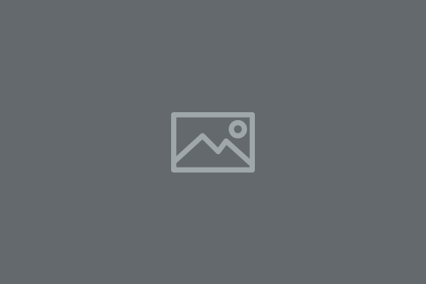image branch